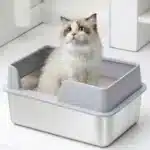 Litera Caja De Arena Cajita Gatos Acero Inox