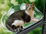 Cama Colgante Hamaca Para Ventana para gatos