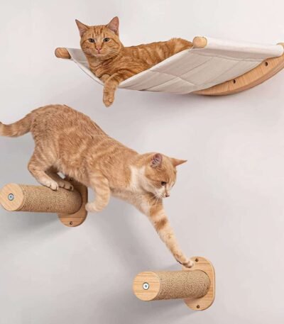 Rascador Gimnasio Circuito Trepador Cama Para Gatos