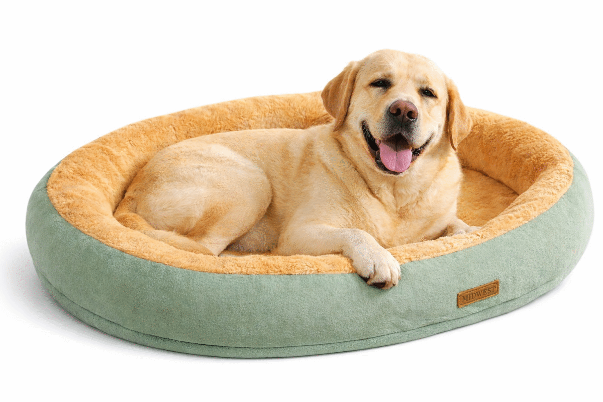 Cama perro grande perro muy grande