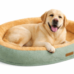 Cama perro grande perro muy grande