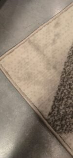 Alfombra Living Comedor Wilton 180x225 - Image 3
