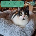 Cama Para Perros Antiestres Nórdico 60 cm