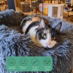 Cama Para Perros Antiestres Nórdico 60 cm