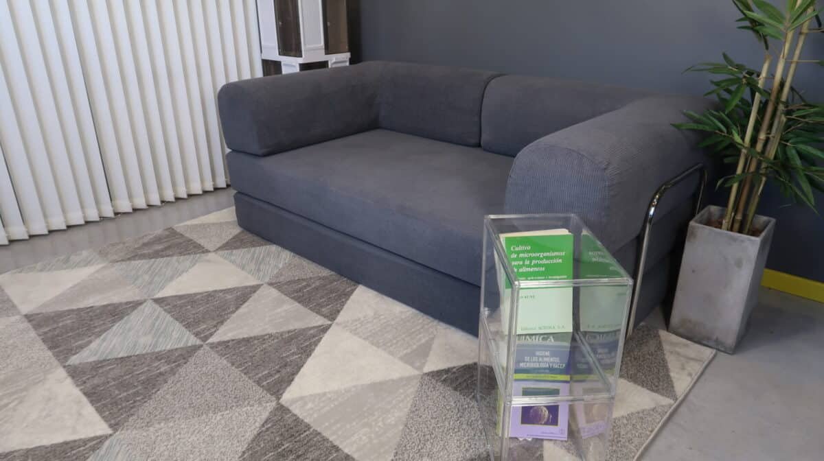 Alfombra Living Comedor Wilton 180x225 - Image 5
