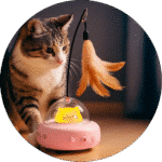 Juguetes y Accesorios