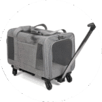 Transportadores y Bolsas