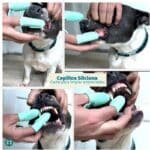 Cepillo de Dientes Dedal Silicona Para Perros Y Gatos - Image 7
