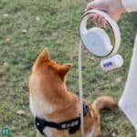 Correa Retráctil Inteligente antideslizante Luz LED - Image 6