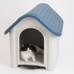 Casa Cucha Perro Mascota Exterior Plástica N°20 - Image 9