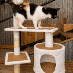 Rascador Gimnasio Torre Casita Gatos Juguete Crafty T3 Blanco - Image 8