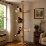 Rascador Gimnasio Poste Casita Para Gatos 5 NIVELES