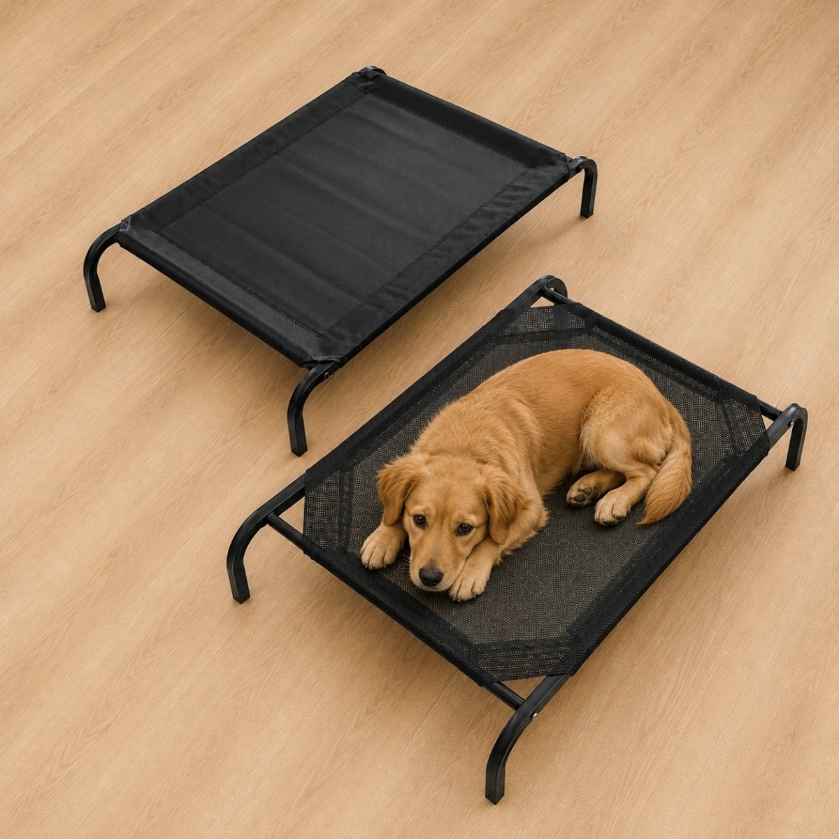 Cama catre elevada grande para mascotas metálica con malla teslin