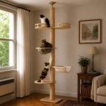 Rascador Gimnasio Poste Casita Para Gatos 5 NIVELES
